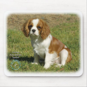 Cavalier King Charles Spaniel Mouse Pad