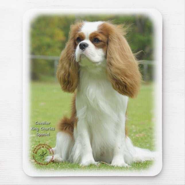 Cavalier King Charles Spaniel Mouse Pad (Front)