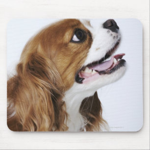 Cavalier King Charles Spaniel Mouse Pad