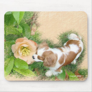 Cavalier King Charles Spaniel Mouse Pad