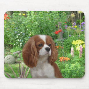 Cavalier King Charles Spaniel Mousepad