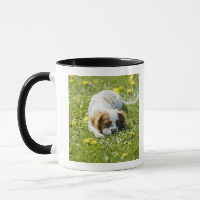Cavalier King Charles Spaniel Mug (Left)