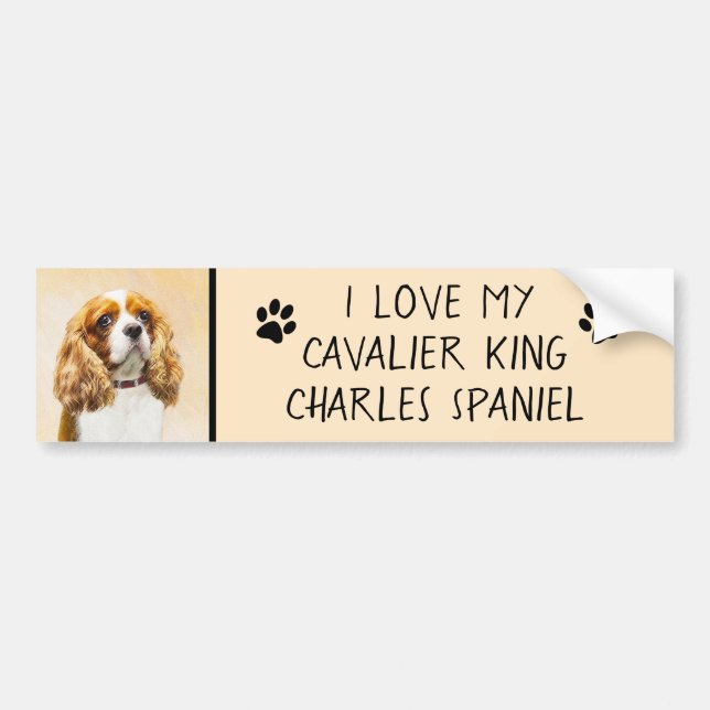 Cavalier King Charles Spaniel Original Painting Bumper Sticker (Front)