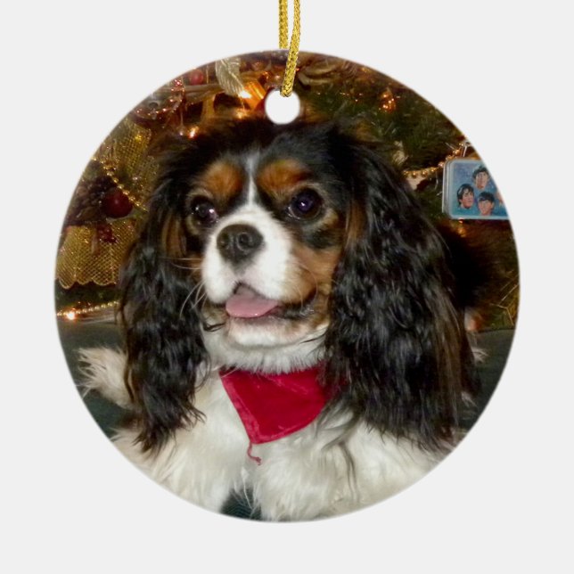 Cavalier King Charles Spaniel  Ornament (Front)