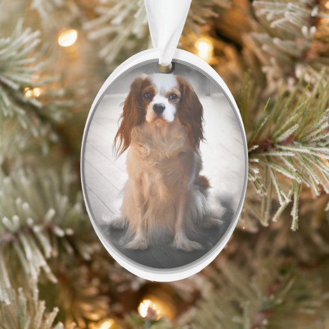 Cavalier King Charles Spaniel Ornament (Tree)
