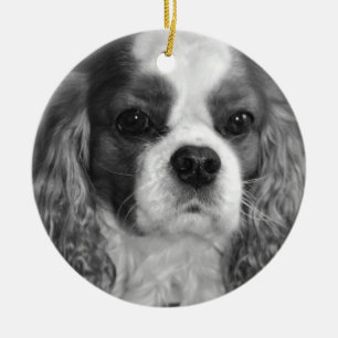 Cavalier King Charles Spaniel Ornaments