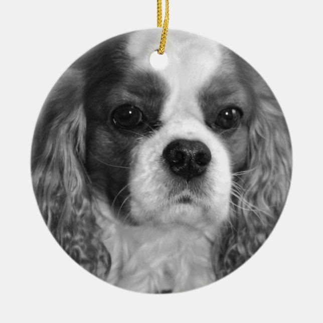 Cavalier King Charles Spaniel Ornaments (Front)