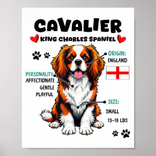 Cavalier King Charles Spaniel Owner Funny Dog Love Poster