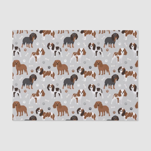 Cavalier King Charles Spaniel Paws and Bones Tissu Tissue Paper (Front)