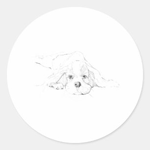 Cavalier King Charles Spaniel Pet Classic Round Sticker