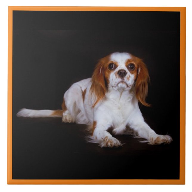 Cavalier King Charles Spaniel, Pet Love, KEEPSAKE Ceramic Tile (Front)