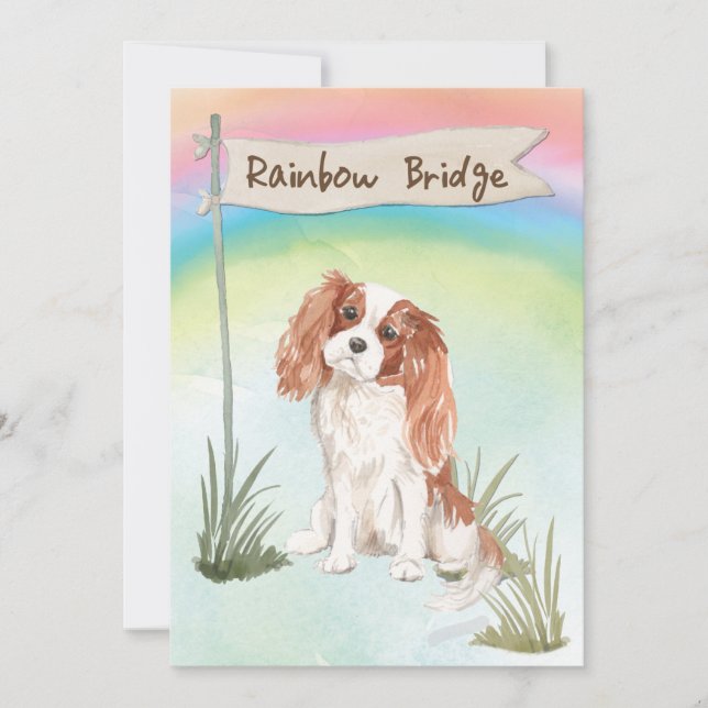 Cavalier King Charles Spaniel Pet Sympathy Card (Front)