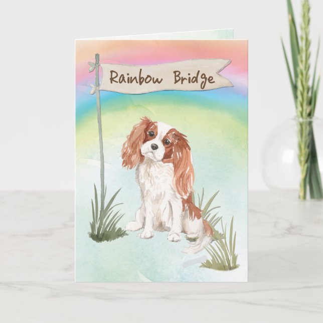 Cavalier King Charles Spaniel Pet Sympathy Card (Front)