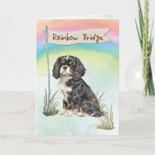Cavalier King Charles Spaniel Pet Sympathy Card
