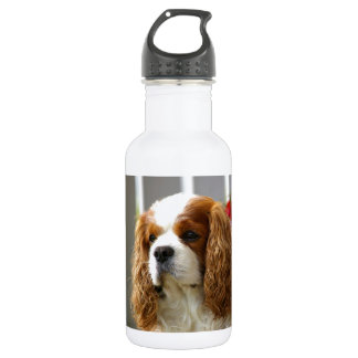 Cavalier King Charles Spaniel Portrait 532 Ml Water Bottle