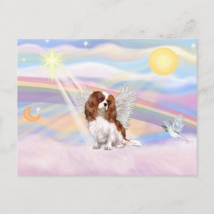 Cavalier King Charles Spaniel Postcard