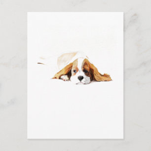 Cavalier King Charles Spaniel Postcard Gift