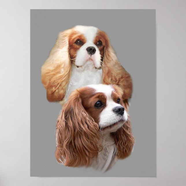 Cavalier King Charles Spaniel Pretty Girls Print (Front)