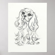 Cavalier king charles spaniel print | species