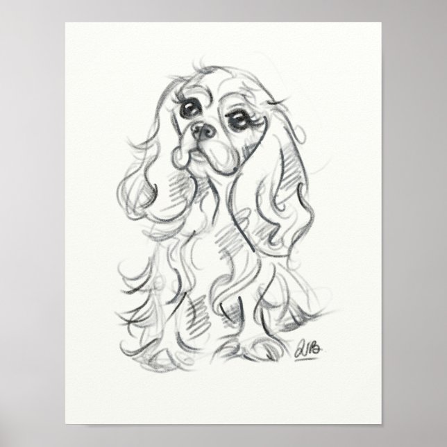 Cavalier king charles spaniel print | species (Front)