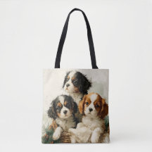 Cavalier King Charles Spaniel Puppies Christmas