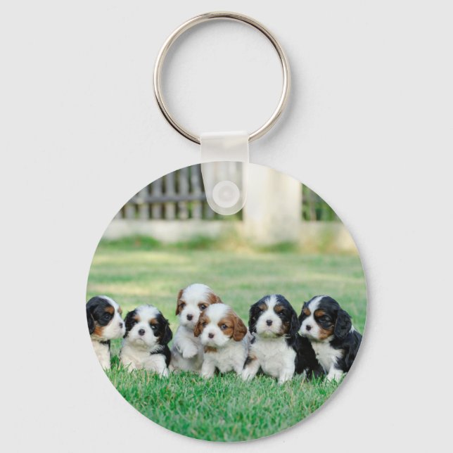 Cavalier King Charles Spaniel puppies Key Ring (Front)