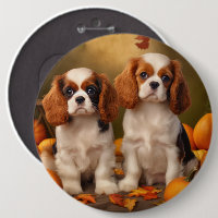Cavalier King Charles Spaniel Puppy Autumn Pumpkin