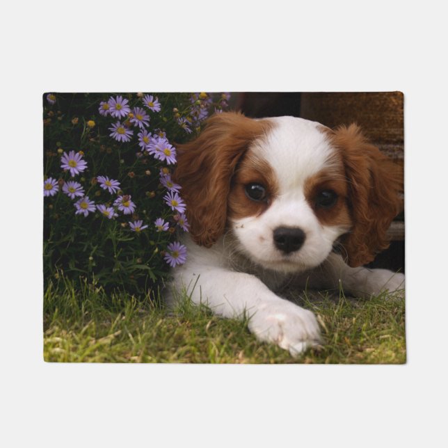 Cavalier King Charles Spaniel Puppy behind flowers Doormat (Front)