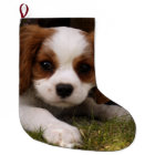 Cavalier King Charles Spaniel Puppy behind flowers