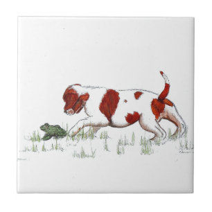 Cavalier King Charles Spaniel puppy CKC Tile