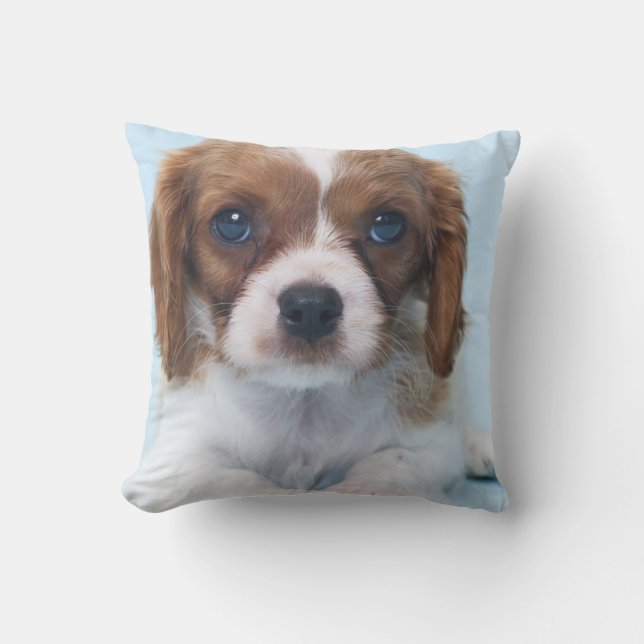 Cavalier King Charles Spaniel Puppy Cushion (Front)