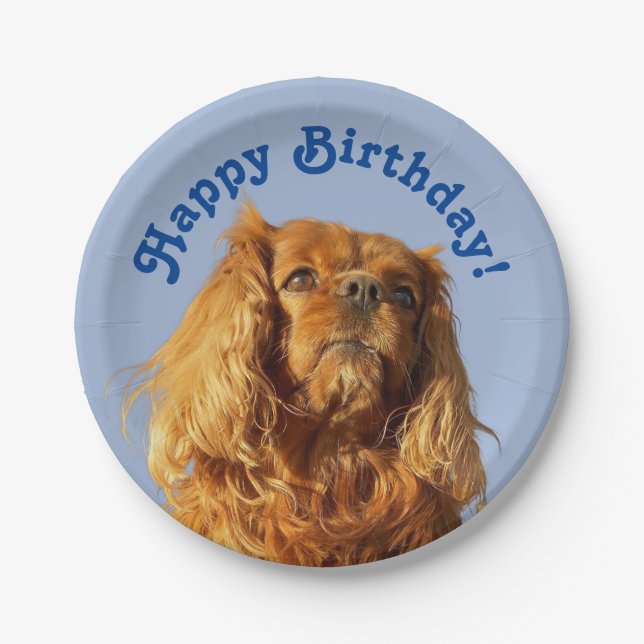 Cavalier King Charles Spaniel Puppy Dog Blue Paper Plate (Front)