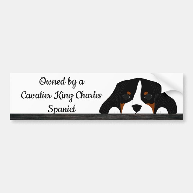 Cavalier King Charles Spaniel Puppy Dog Bumper Sticker (Front)