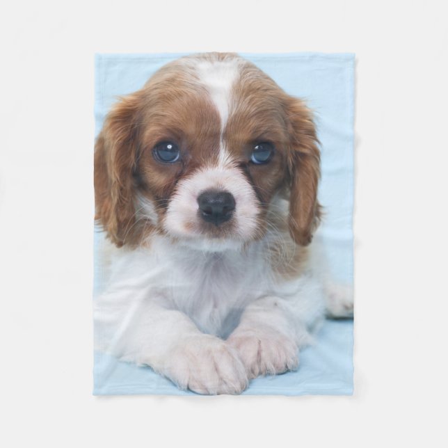 Cavalier King Charles Spaniel Puppy Fleece Blanket (Front)