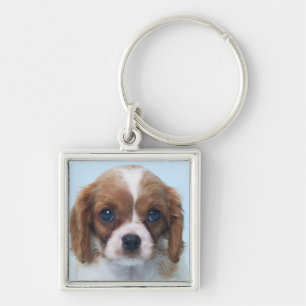Cavalier King Charles Spaniel Puppy Key Ring
