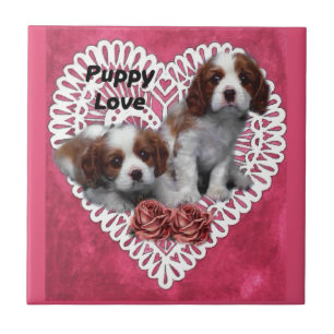 Cavalier King Charles Spaniel Puppy Love Ceramic Tile