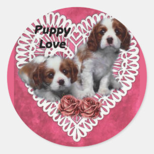 Cavalier King Charles Spaniel Puppy Love Classic Round Sticker