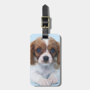 Cavalier King Charles Spaniel Puppy Luggage Tag