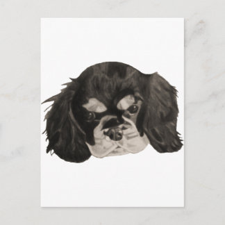 Cavalier King Charles Spaniel Puppy Postcard