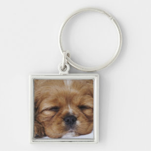 Cavalier King Charles Spaniel puppy sleeping Key Ring