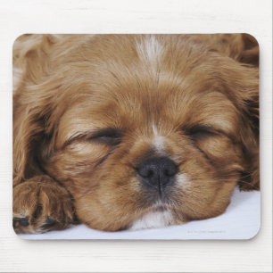 Cavalier King Charles Spaniel puppy sleeping Mouse Pad