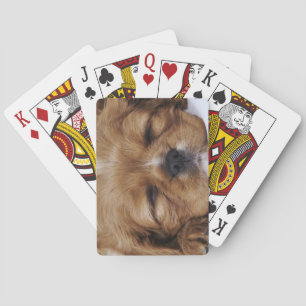 Cavalier King Charles Spaniel puppy sleeping Playing Cards