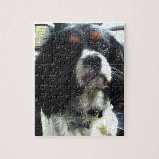 Cavalier King Charles Spaniel Puzzle (Vertical)