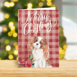 Cavalier King Charles Spaniel Red Plaid Christmas Holiday Card