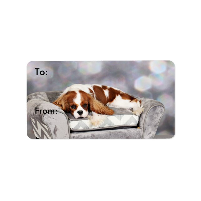 Cavalier King Charles Spaniel - Remington Label (Front)