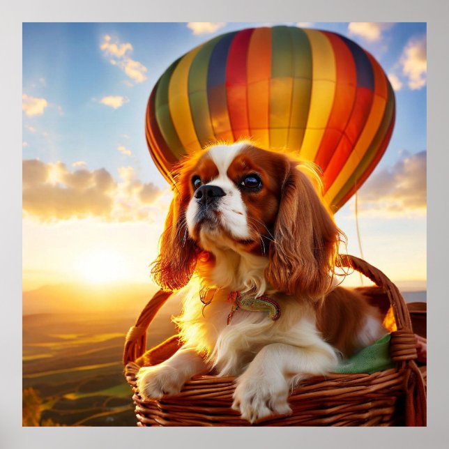 Cavalier King Charles Spaniel Riding a Hot Ballon Poster (Front)