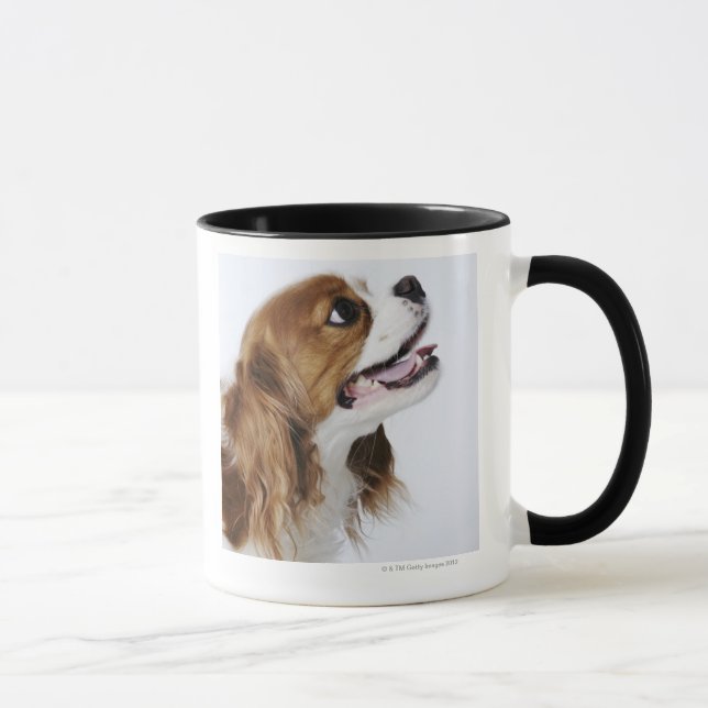 Cavalier King Charles Spaniel, side view Mug (Right)
