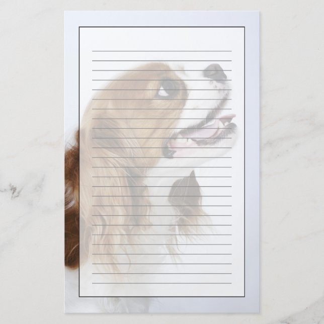 Cavalier King Charles Spaniel, side view Stationery (Front)