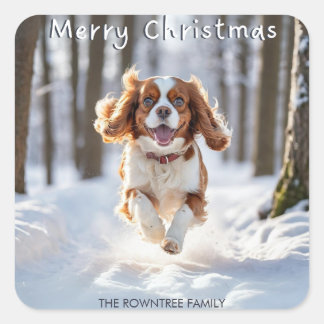 Cavalier King Charles Spaniel Snow Merry Christmas Square Sticker