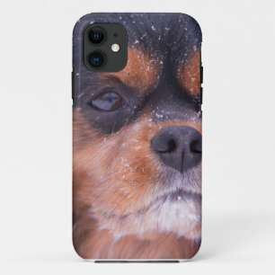Cavalier King Charles Spaniel Snowflake iPhone 11 Case